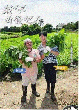 爱美剧TV 厨房里的辩论赛 综艺截图